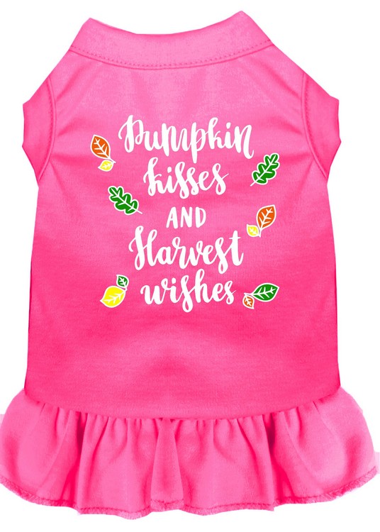 Pumpkin Kisses Screen Print Dog Dress Bright Pink Med